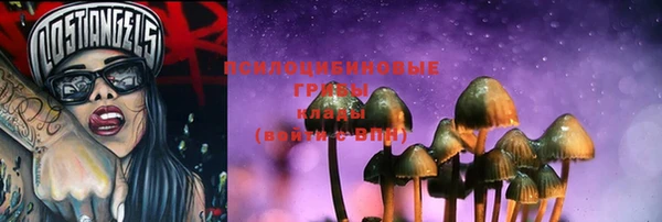 марки lsd Инта